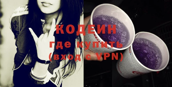 ГАЛЛЮЦИНОГЕННЫЕ ГРИБЫ Вяземский