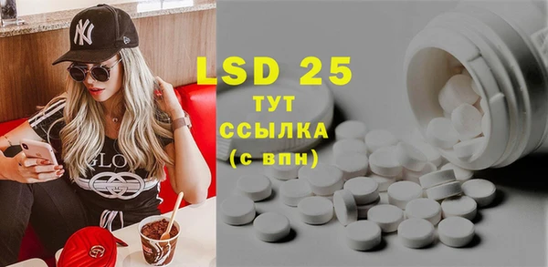 ГАЛЛЮЦИНОГЕННЫЕ ГРИБЫ Вяземский