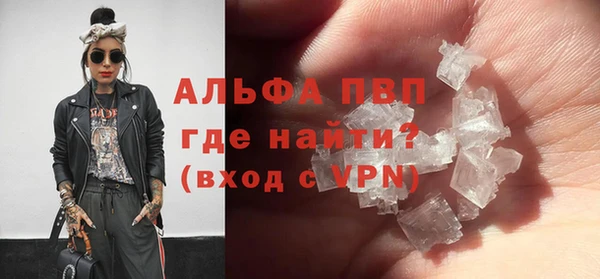 ГАЛЛЮЦИНОГЕННЫЕ ГРИБЫ Вяземский