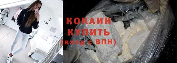 ГАЛЛЮЦИНОГЕННЫЕ ГРИБЫ Вяземский