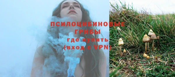 ГАЛЛЮЦИНОГЕННЫЕ ГРИБЫ Вяземский