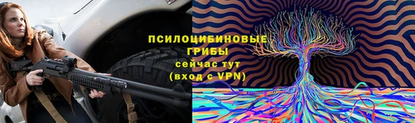 ГАЛЛЮЦИНОГЕННЫЕ ГРИБЫ Вяземский