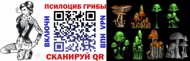 Псилоцибиновые грибы GOLDEN TEACHER  Муром 